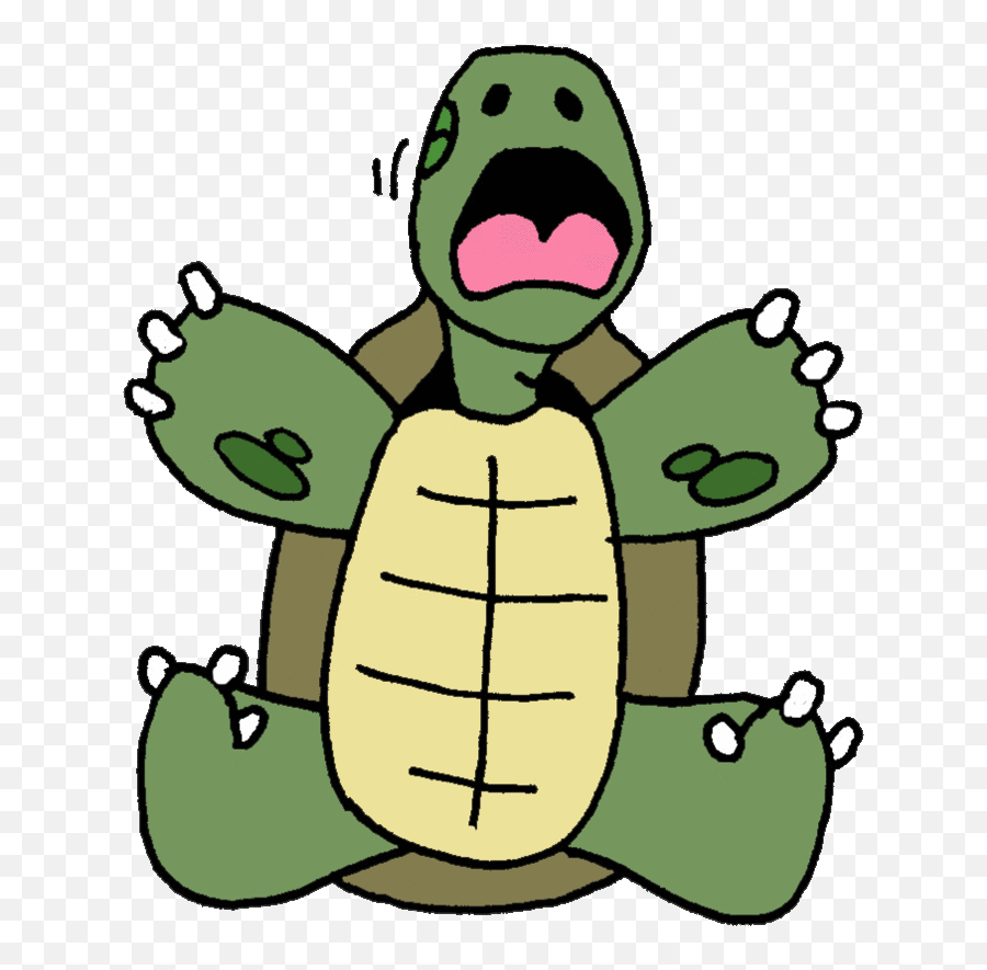 Tortoise Clipart Turtle Clip Art - Sea Turtle Transparent Green Turtle Cartoon Png,Tortoise Png