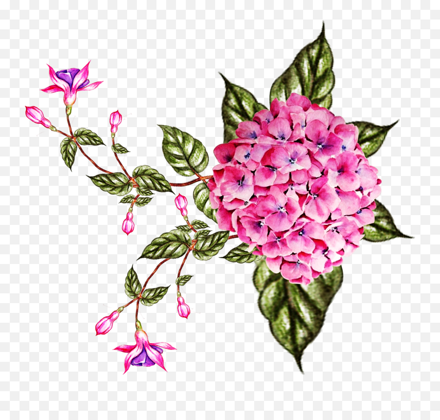 Digital Flower Design 2210 - Lavanya Fabric Design Rosa Glauca Png,Lotus Flower Png