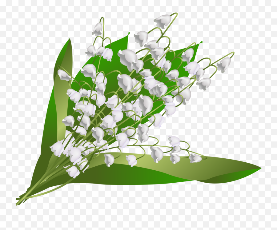Rdh - Floristry Png,Lily Of The Valley Png