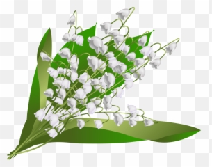 Rdh - Floristry Png,Lily Of The Valley Png