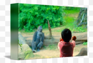Where The Wild Things Are - Monkey Png,Where The Wild Things Are Png