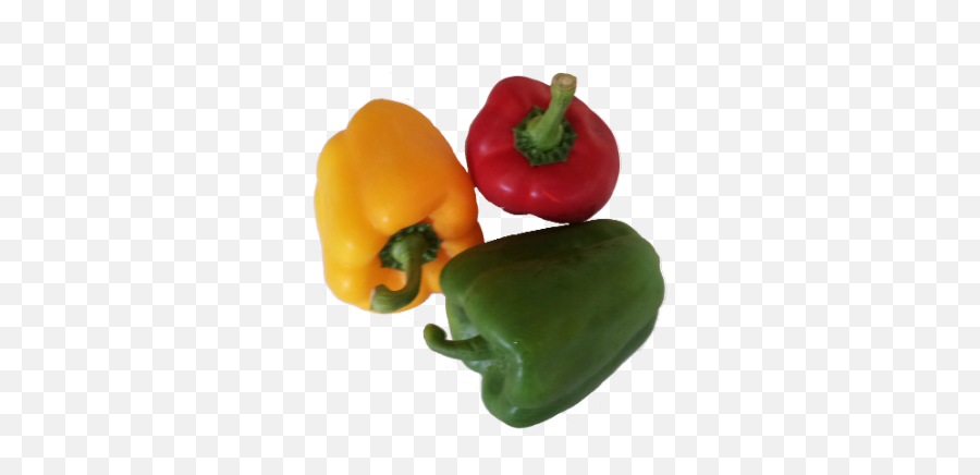 Index Of Imagesfood - Mixed Peppers Png Transparent,Peppers Png