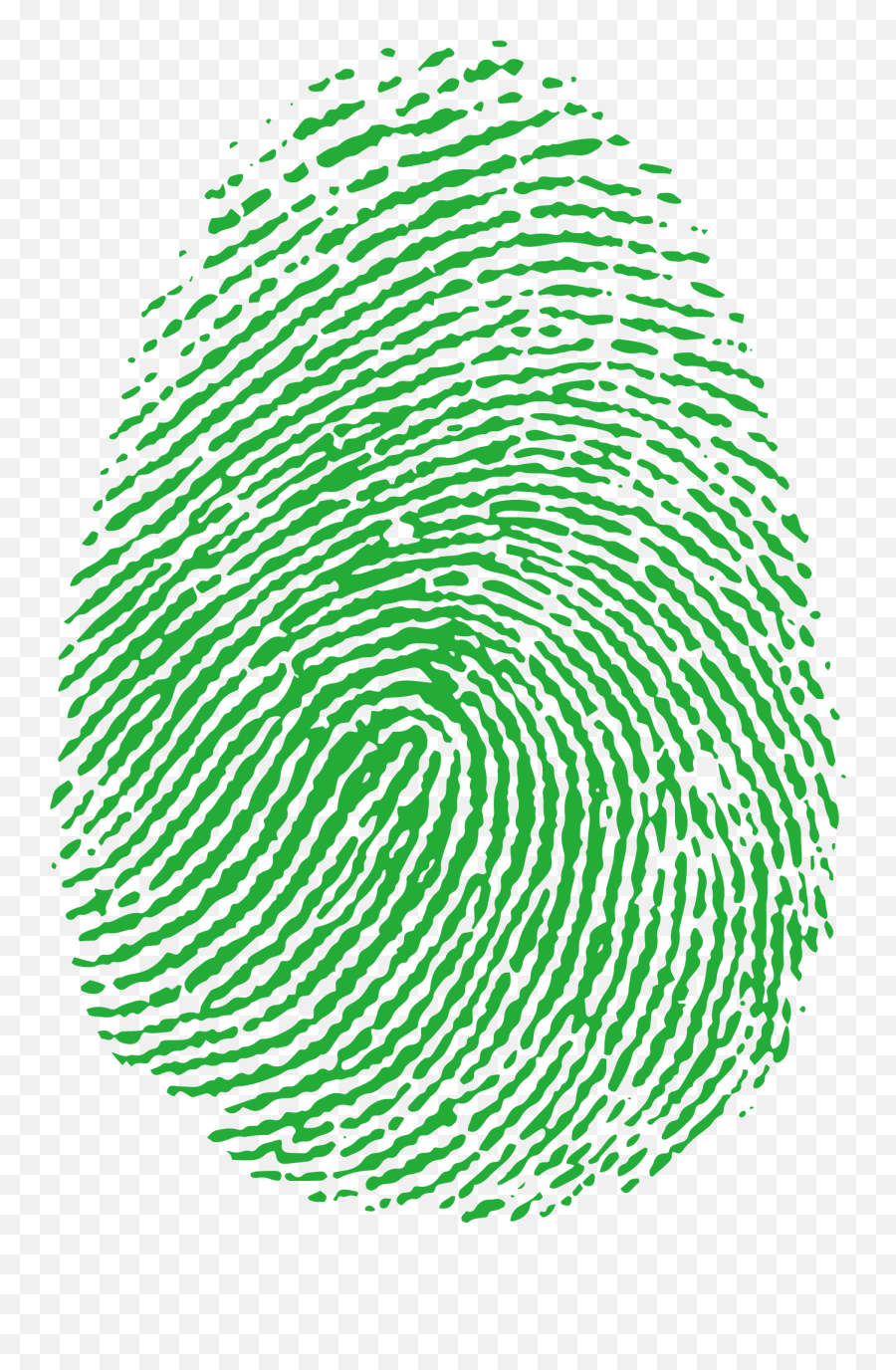 Fingerprint Image Scanner - Green Transparent Fingerprint Png,Finger Print Png