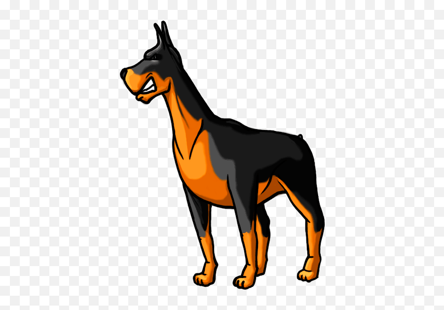 Miniature Pinscher German - Draw A Guard Dog Png,Doberman Png