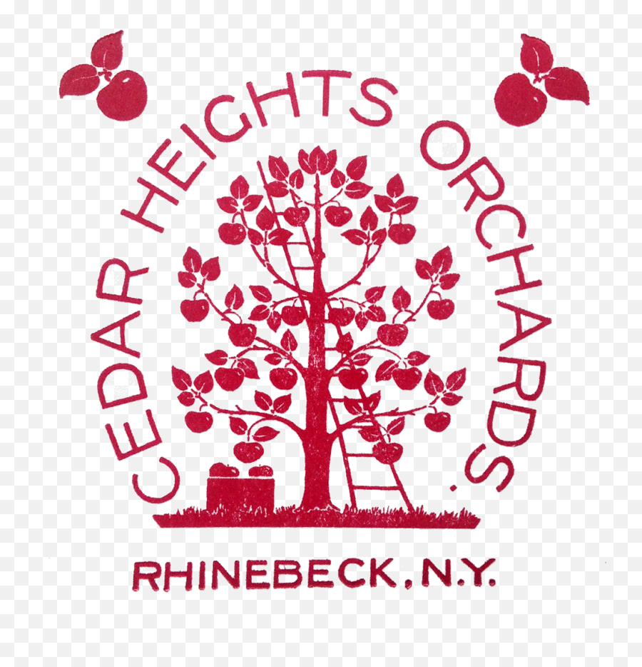 Home - Cedar Heights Orchards Illustration Png,Angry Orchard Logo