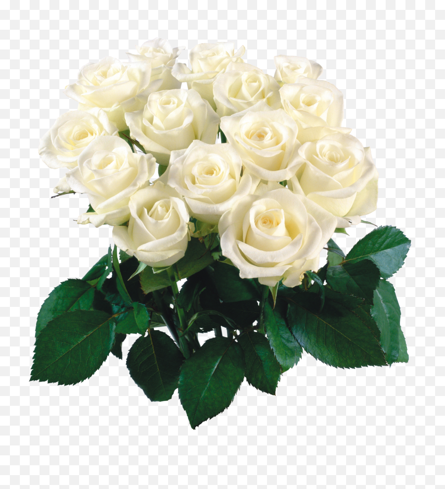 Bouquet Of Flowers Png Image - White Flower Bokeh Png,Garden Flowers Png