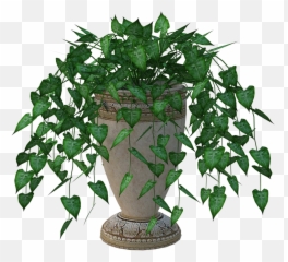 Planter Plant Leaves - Houseplant Png,Planter Png