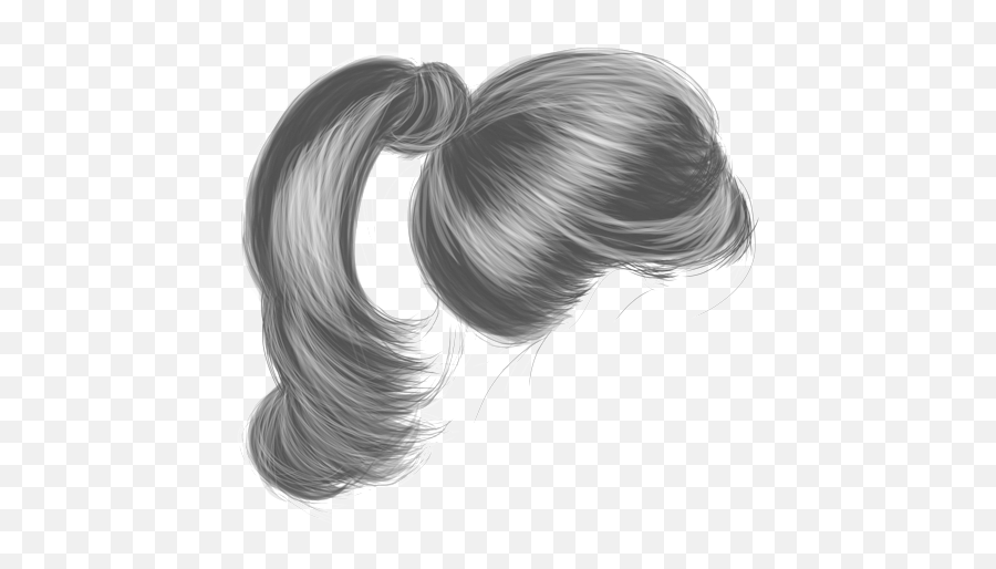 Ponytail Hair Png Free - Transparent Black Ponytail Png,Long Black Hair Png