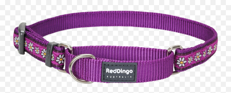 Martingale Daisy Chain Dog Collar - All Dog Collar Png,Dog Collar Png