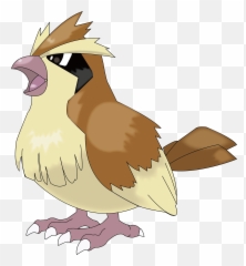 Pokemon Pidgey Png Image With - Pokemon Pidgey Png,Pidgey Png
