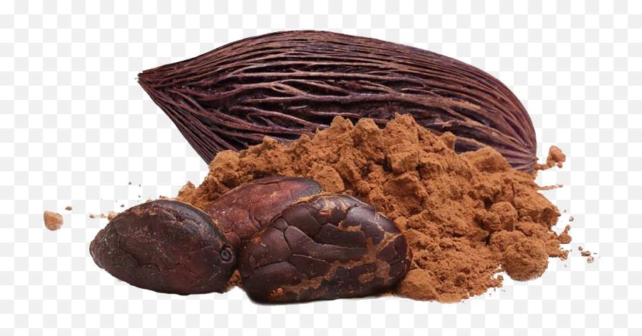 Cacao Png Transparent Images Free - Cocoa Png,Powder Png