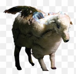 Fall Out Boy Infinity - Fall Out Boy Infinity On High Sheep,Fall Out Boy Transparent