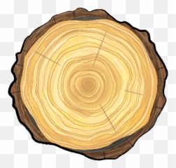 Smittys Tree Care - Tree Trunk Top Png,Stump Png