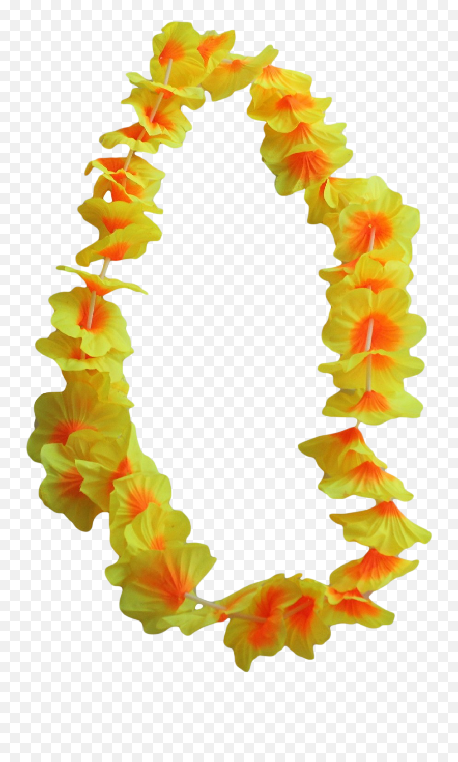 Download 12 X Hawaiian Flower Leis - Transparent Hawaiian Leis Png,Lei Png