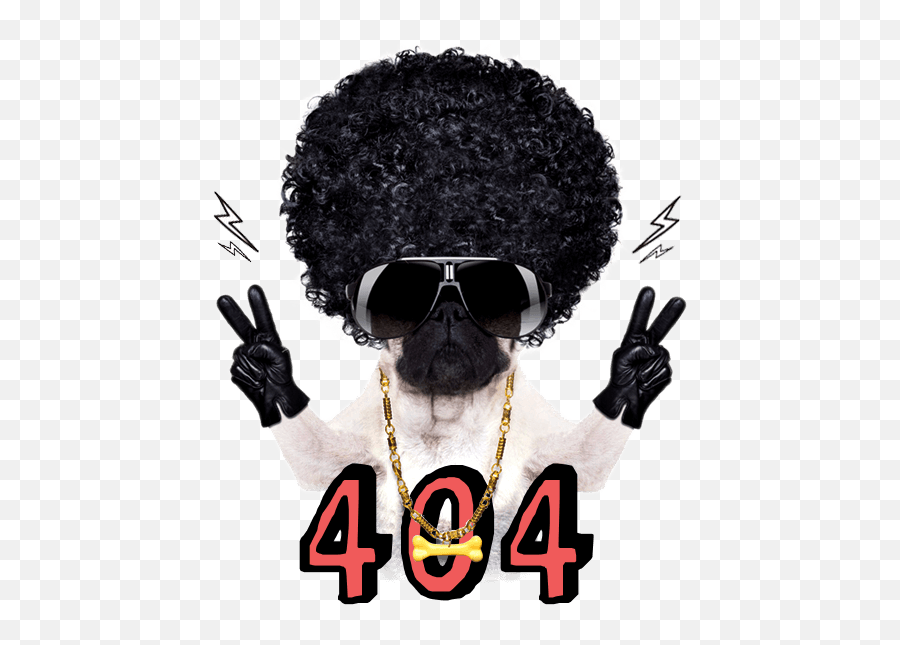 Art Attack - Pug With Wig And Sunglasses Png,Swag Glasses Png