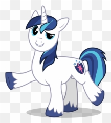 Adobe Animate Flash Artist Needed Male Raised - Mlp Boy Version Of Twilight Sparkle png