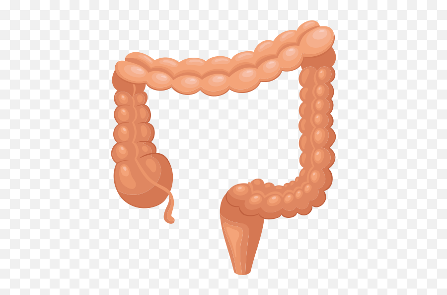 Large Intestine Vector Icons Free - Vertical Png,Intestine Icon