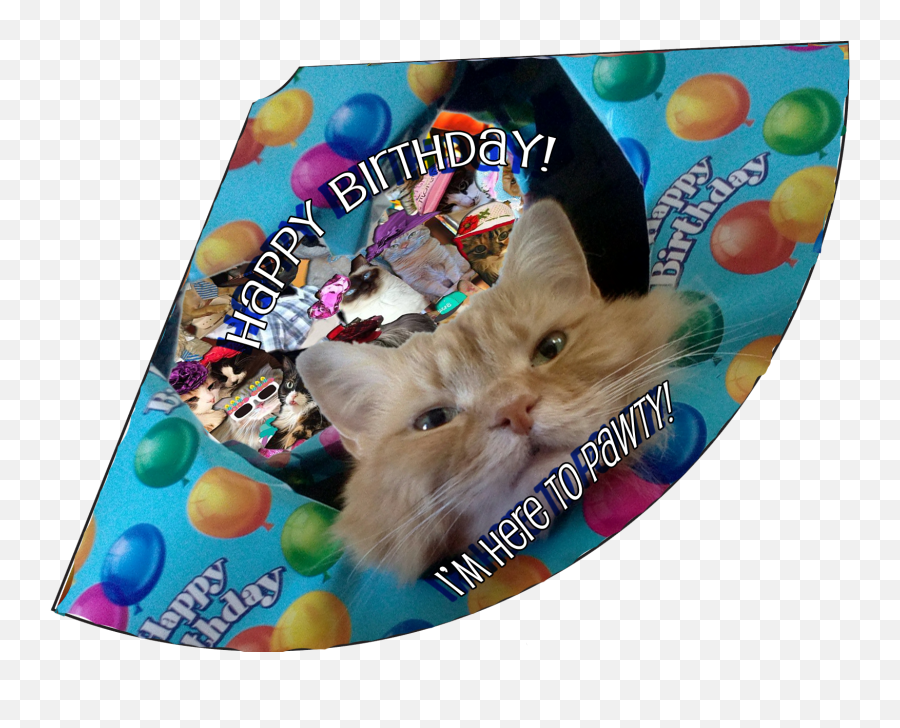 Birthday Month Celebration Lunaturd Cat - Cat Grabs Treat Png,Birthday Hats Png