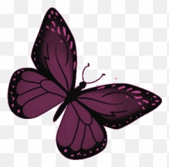 Butterfly Purple Gif - png