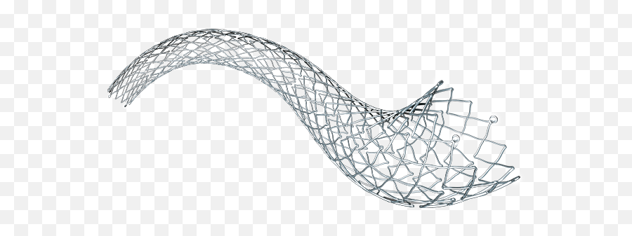 Vascular Self - Self Expanding Stent Png,Expandable Icon