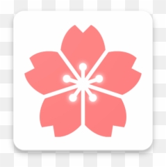 Fleurs Cerisier Japon Images Stock Photos Vectors Shutterstock