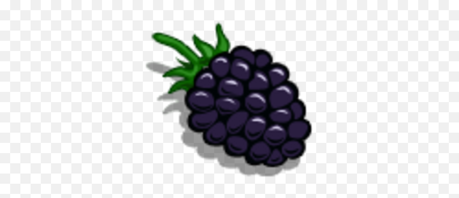 Super Blackberries Farmville Wiki Fandom - Diamond Png,Magic Icon Blackberry