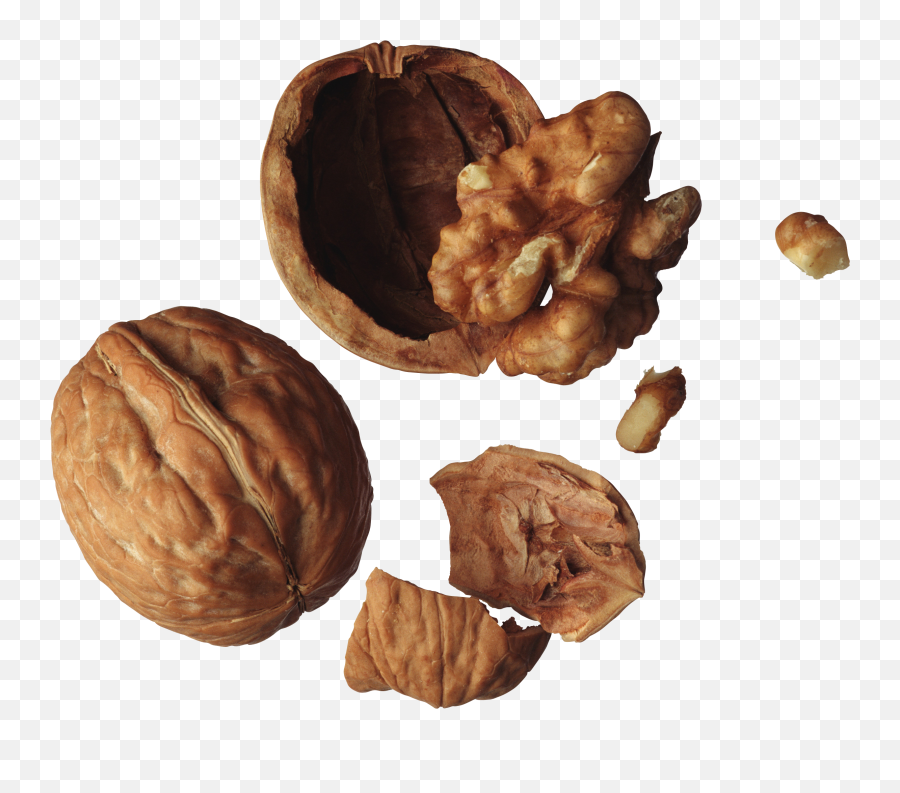 Walnut Png Clipart - Inside Of A Walnut,Walnut Transparent