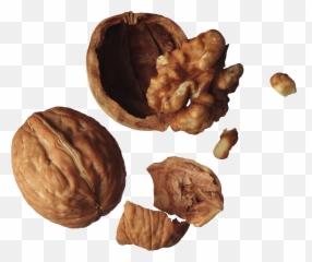 Walnut Png Clipart - Inside Of A Walnut,Walnut Transparent
