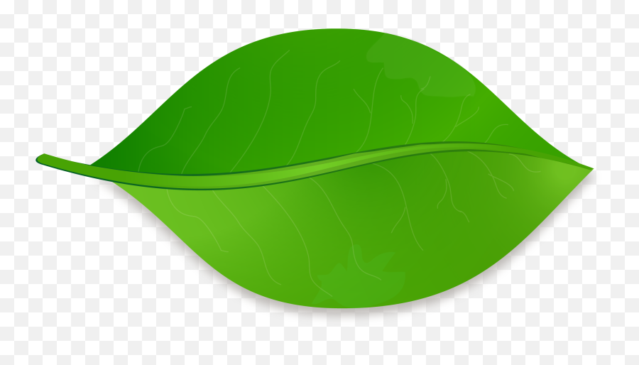 Green Leaf With Shadow Icon Free Image Download - Leaf Nature Png,In The Shadow Of An Icon