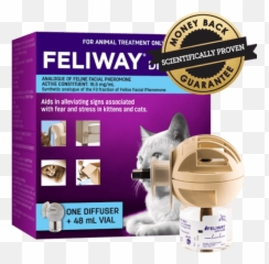 How To Reduce Anxiety In Cats Pet Better With Circle - San Francisco Fishermans Wharf png