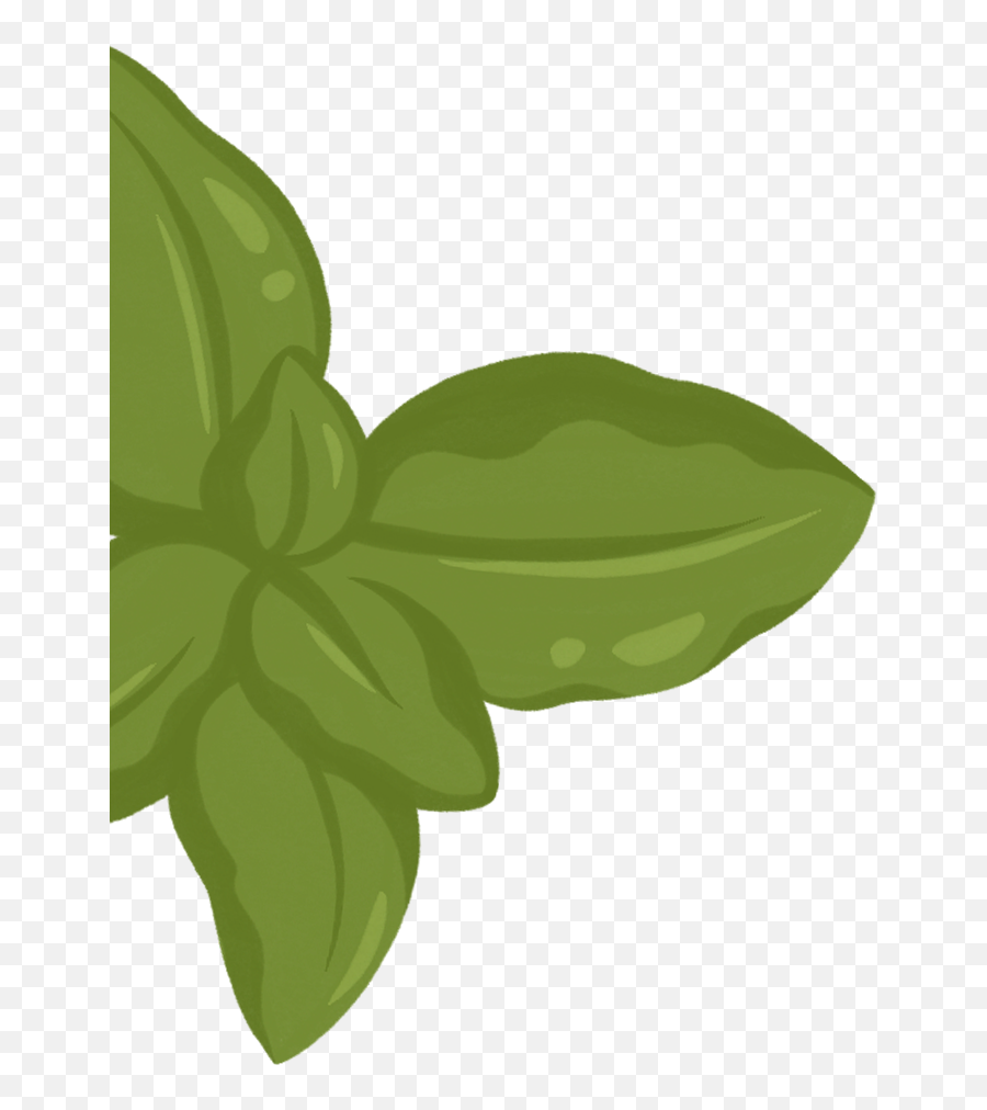 Ps20campbellu0027s35702ba6mobile - Fresh Png,Basil Icon