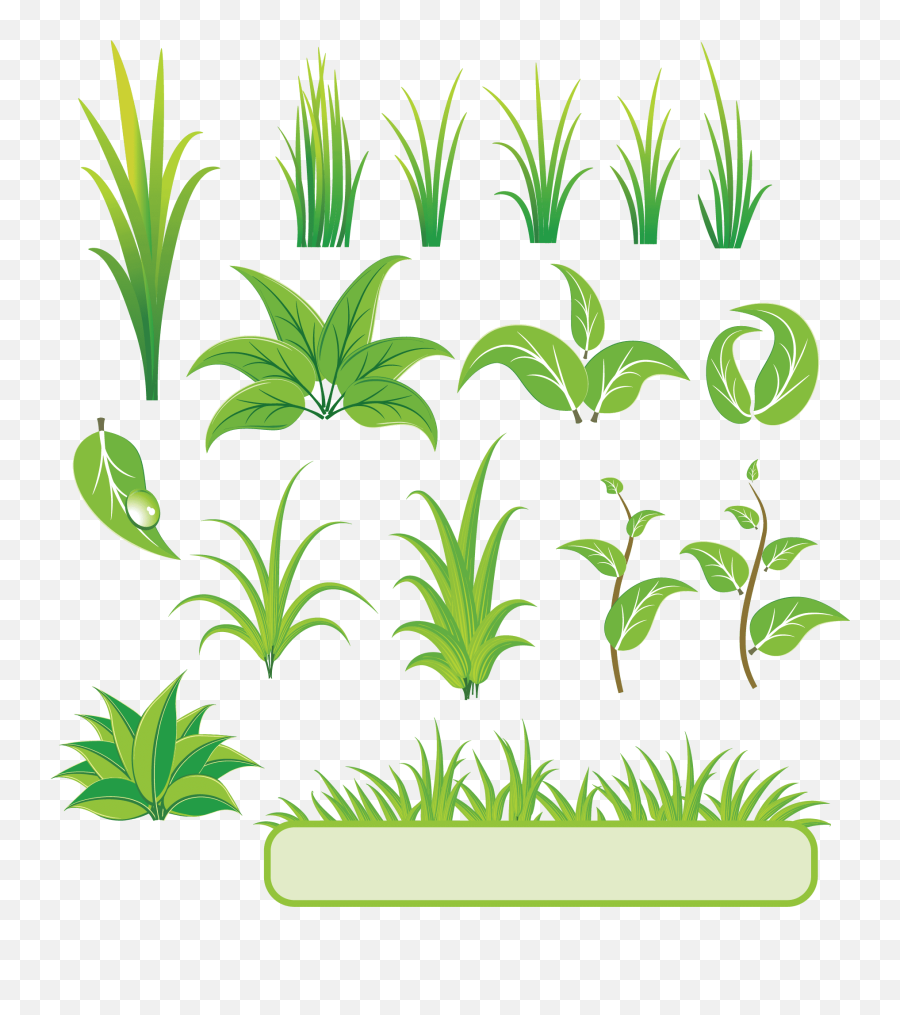 Bamboo And Grass Plant Vector 01 Download - Plant Vector Png,Bamboo Leaves Png