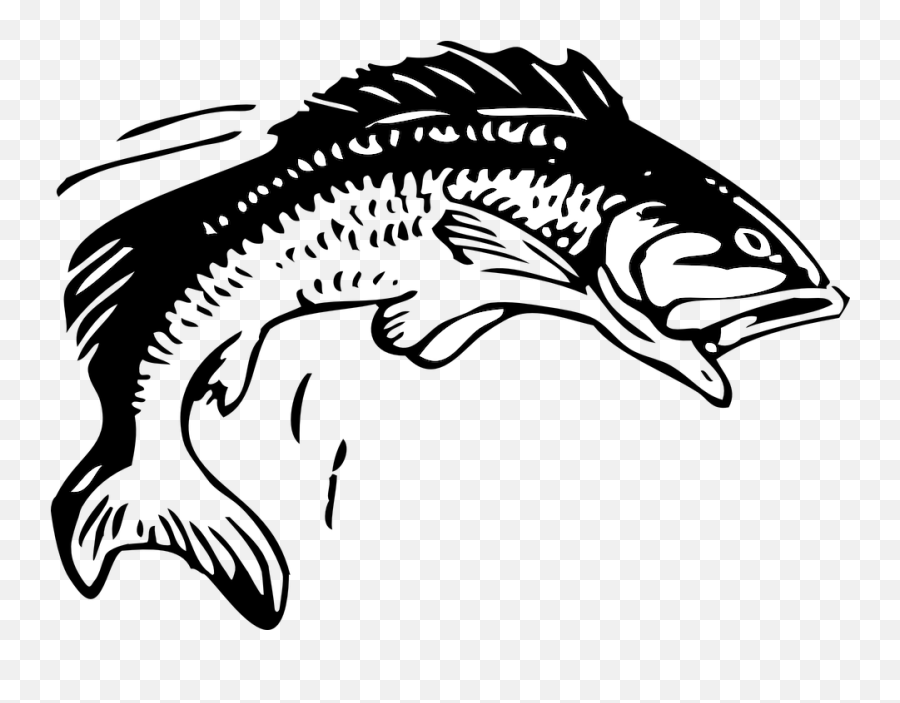 Fish Fishing Animal - Jumping Fish Clipart Png,Fishing Logos