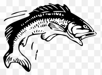 Fish Fishing Animal - Jumping Fish Clipart Png,Fishing Logos