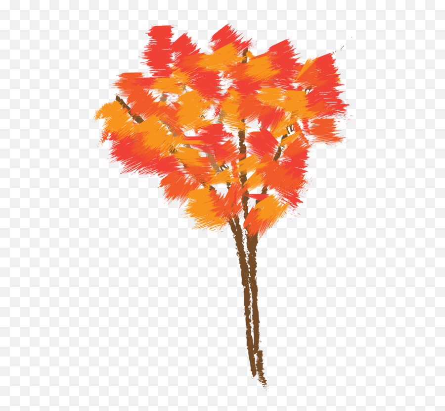 Autumnplantleaf Png Clipart - Royalty Free Svg Png Color Drawing Tree Autumn,Japanese Maple Png