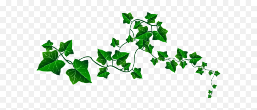 Leafy Vine Clipart With Transparent - Clip Art Png,Transparent Vine