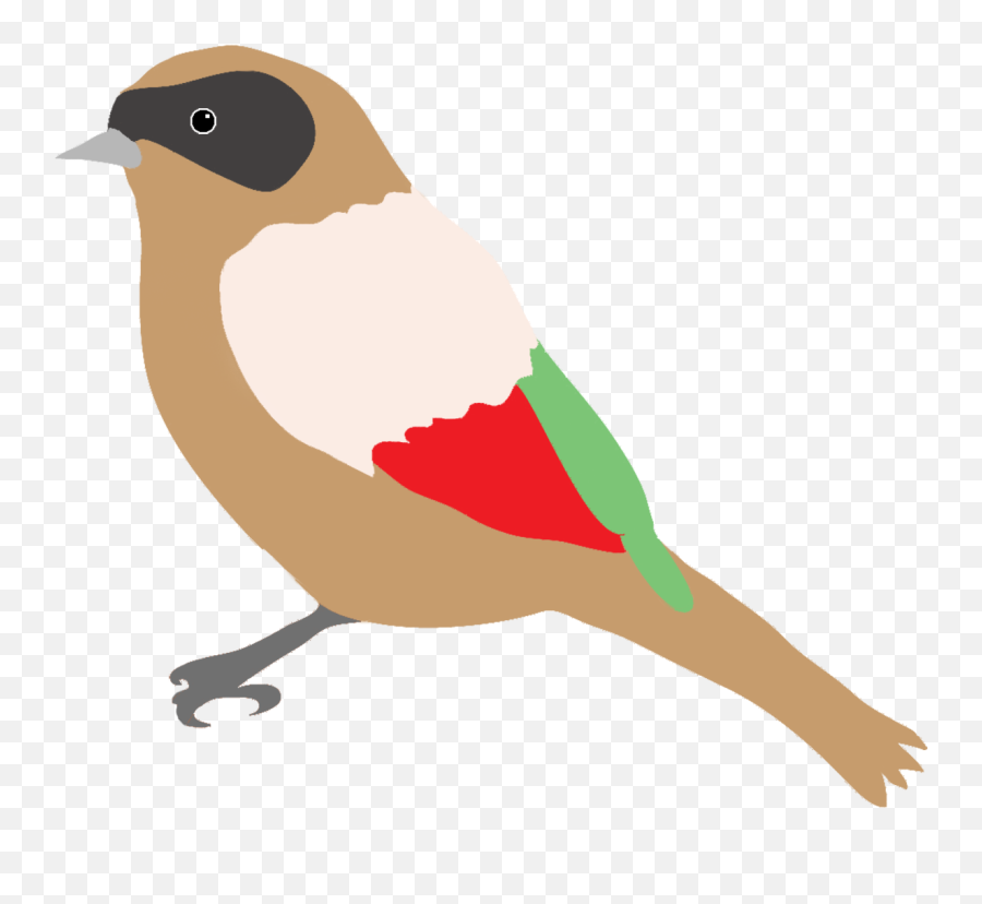 Colorful Drawings Of Birds - Bird Drawing Png,Birds Png