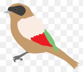 Colorful Drawings Of Birds - Png