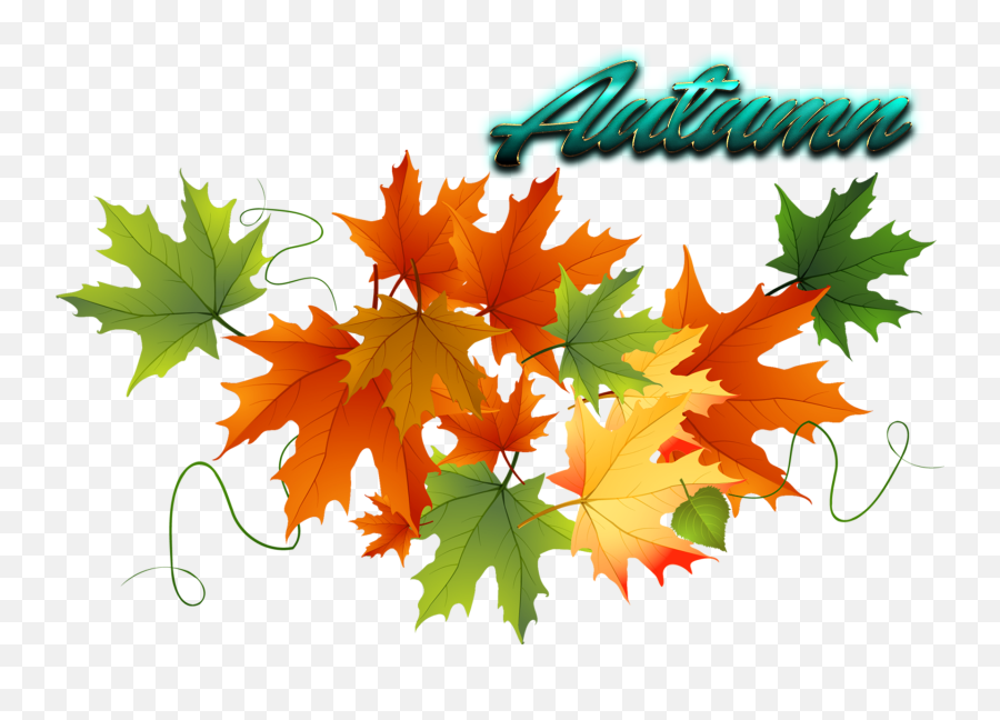 Download Autumn Leaves Free Png Image - Transparent Background Autumn Leaves Clipart,Leaves Clipart Png