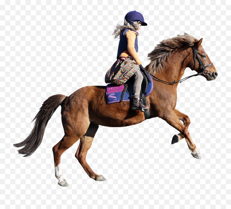 Horse Png Image For Free Download - Girl On A Horse Png,Horse Transparent Png