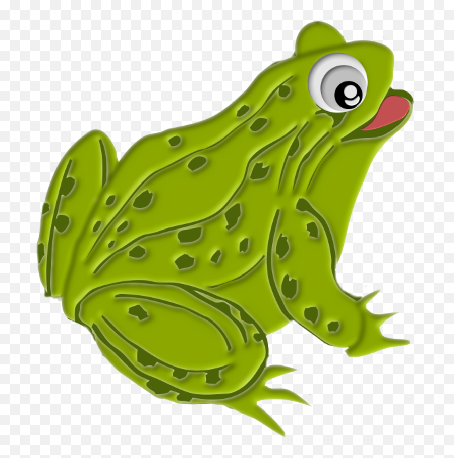 Green Frog Clip Art Reptiles Amphibians - Broscute Clipart Png,Frog Clipart Png