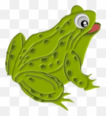 Green Frog Clip Art Reptiles Amphibians - Broscute Clipart Png,Frog Clipart Png