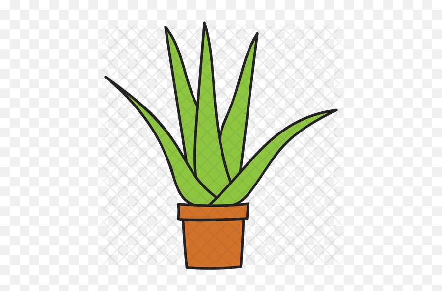 Aloe Vera Icon Of Doodle Style - Aloe Vera Plant Doodles Png,Aloe Png