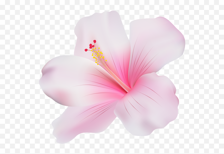 Pink Hibiscus Átlátszó Png Clip Art Free - Hawaiian Hibiscus,Hibiscus Png