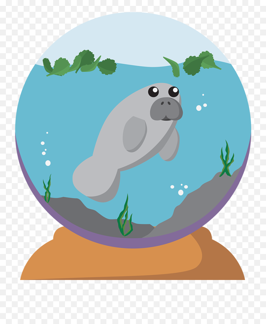 Manatee In A Snow Globe - Cartoon Png,Manatee Png