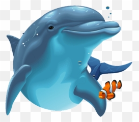 Png V - Dolphin Png,Under The Sea Png