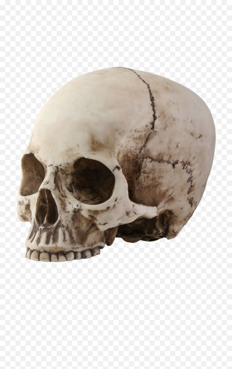 Skull Png Image - Skull Head Transparent Background,Skeleton Png Transparent