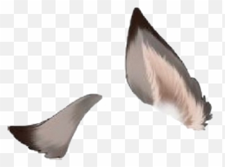 Furry Ear Cat Wolf Dog Sticker By Astrothegreat - Gacha Life Ears Wolf Png,Dog Ears Png