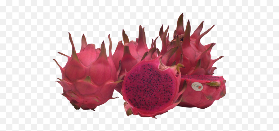 Agro - Raw Red Dragon Fruit Png,Dragon Fruit Png