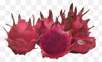 Agro - Raw Red Dragon Fruit Png,Dragon Fruit Png